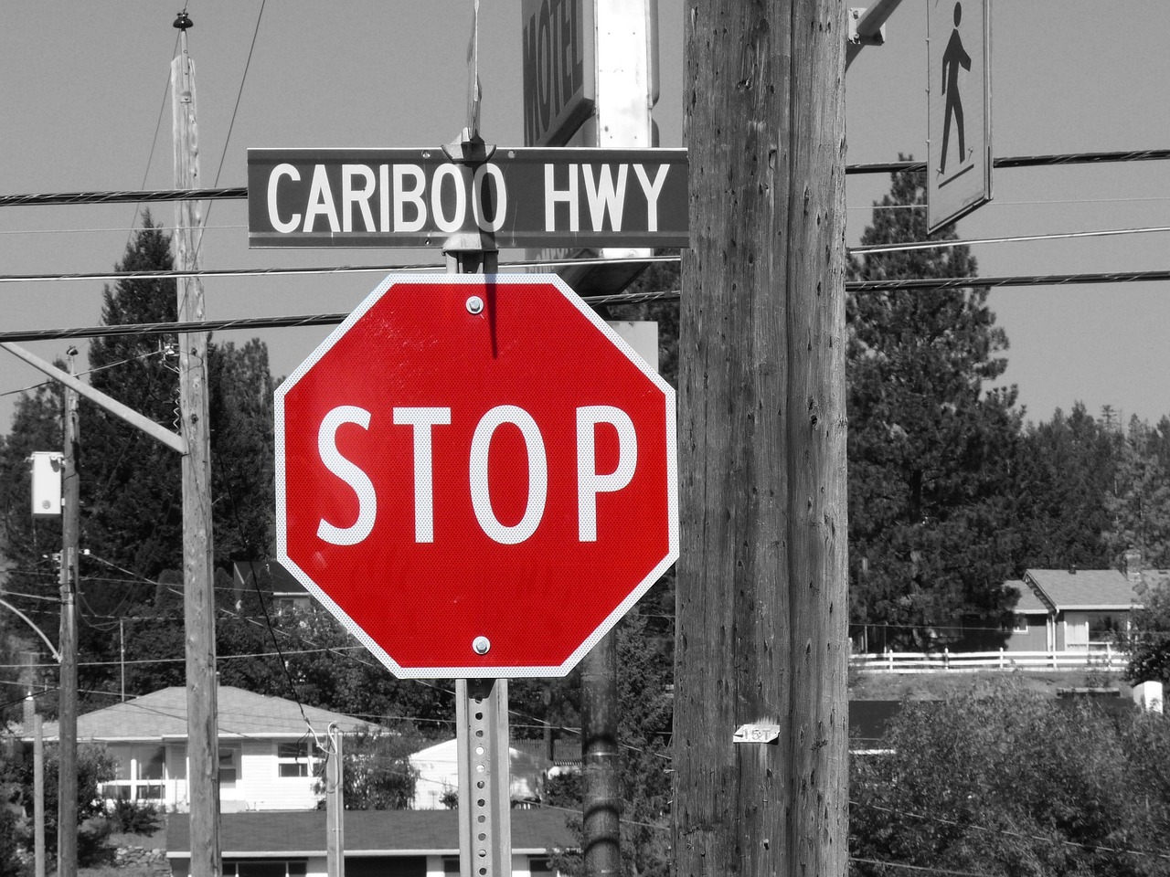 A red stop sign and a street sign reading &ldquo;CARIBOO HWY&rdquo; on a utility pole, with a desaturated background.