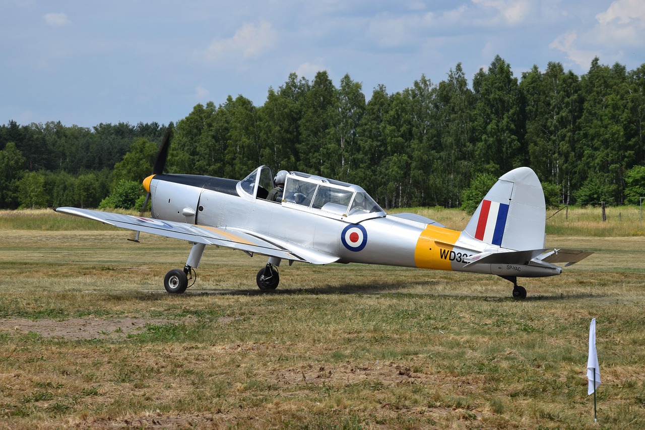 A silver single-engine propeller airplane with yellow and red, white, blue markings on a grassy field.