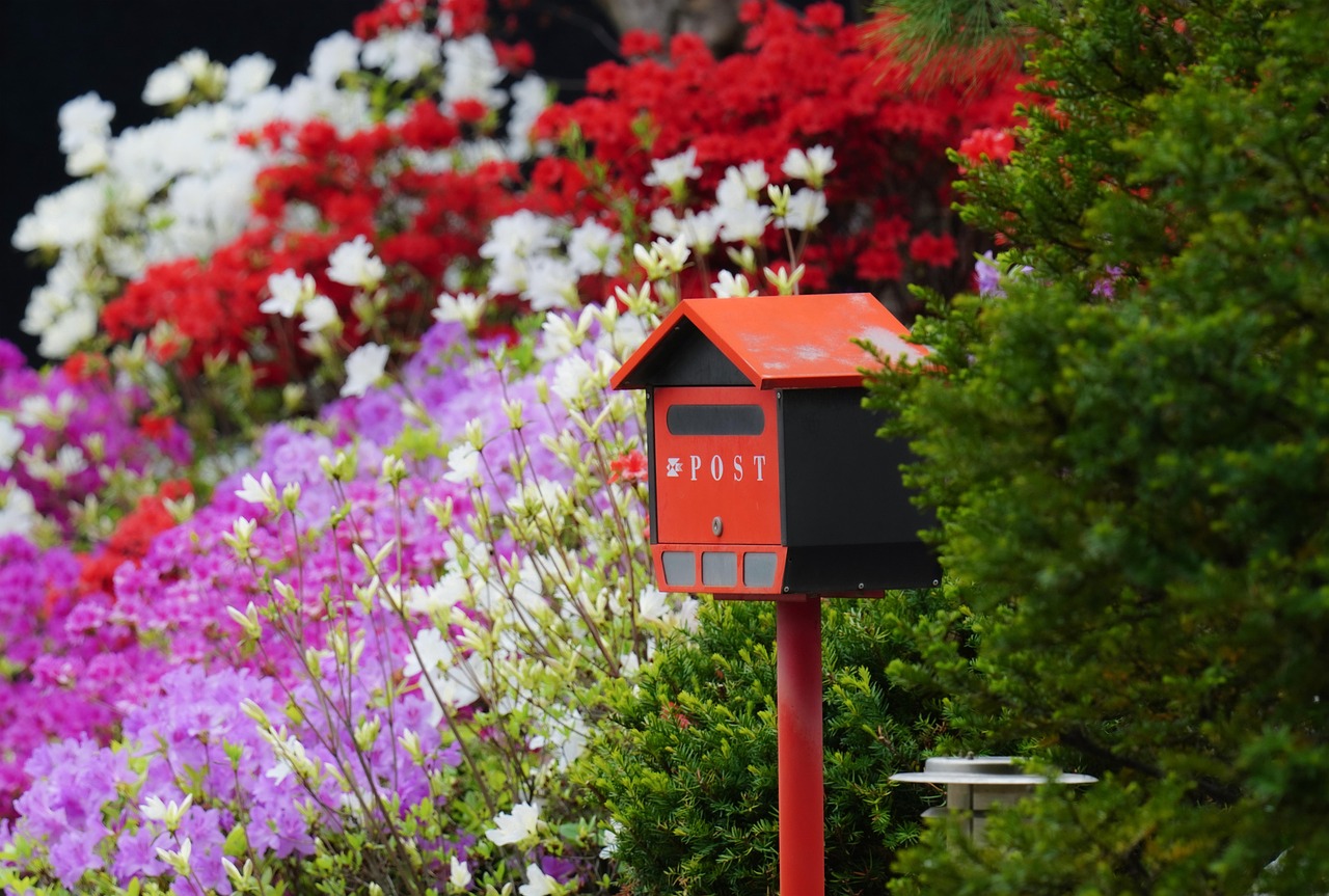 Canada eTA wrong email address: a small red post box among bright azaleas in soft warm light