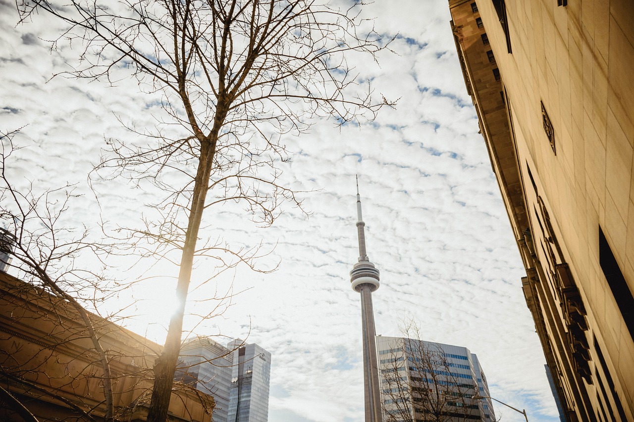 Low-angle view of a tall observation tower, bare tree, and modern buildings under a partly cloudy sky.